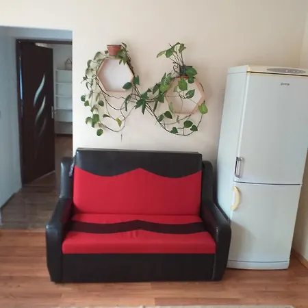 Vila Nadasel Villa Cluj-Napoca